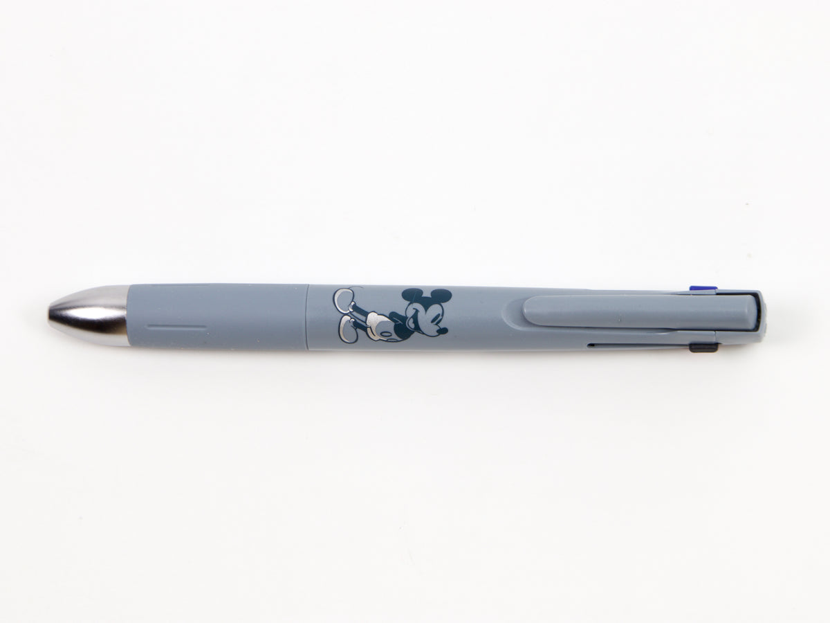 Disney Friends Zebra Blen 4+S