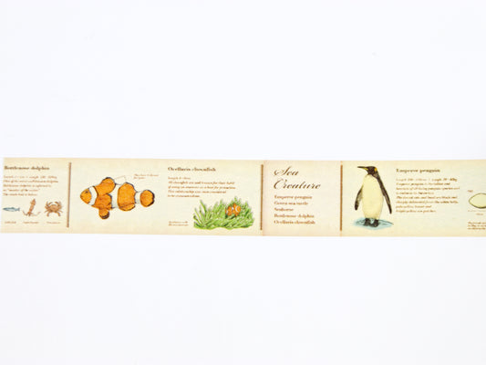 mt ex Encyclopedia of Marine Life
