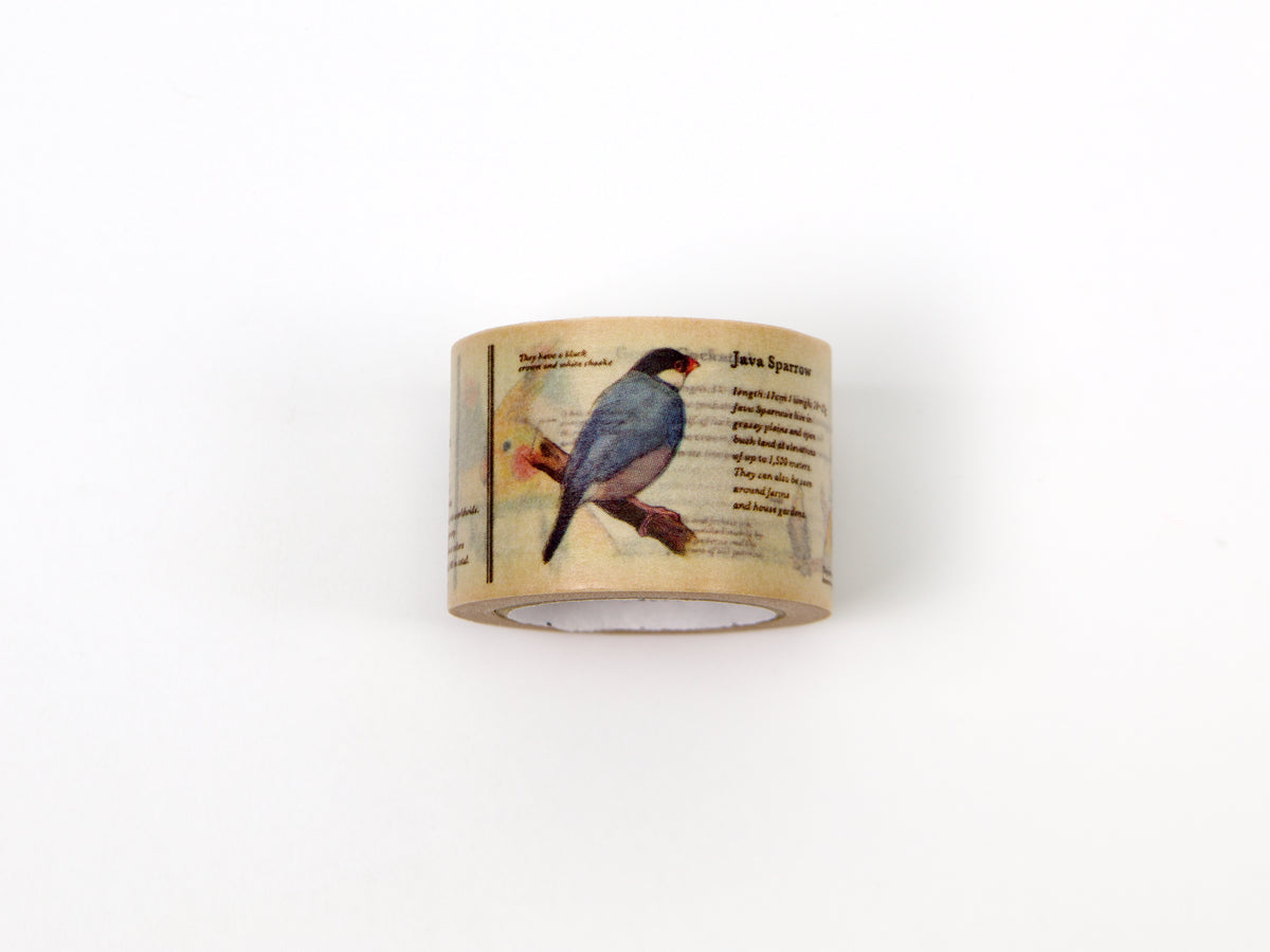mt ex Encyclopedia of Birds
