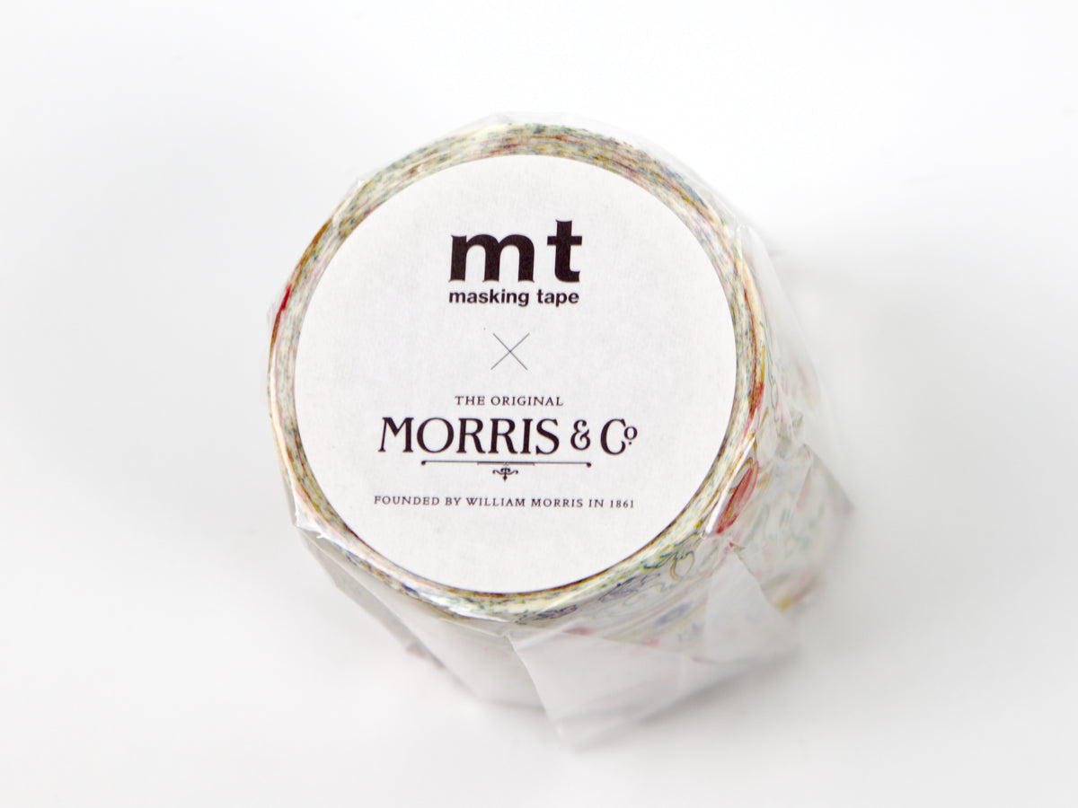 Rosa Rambling de mt Morris &amp; Co.
