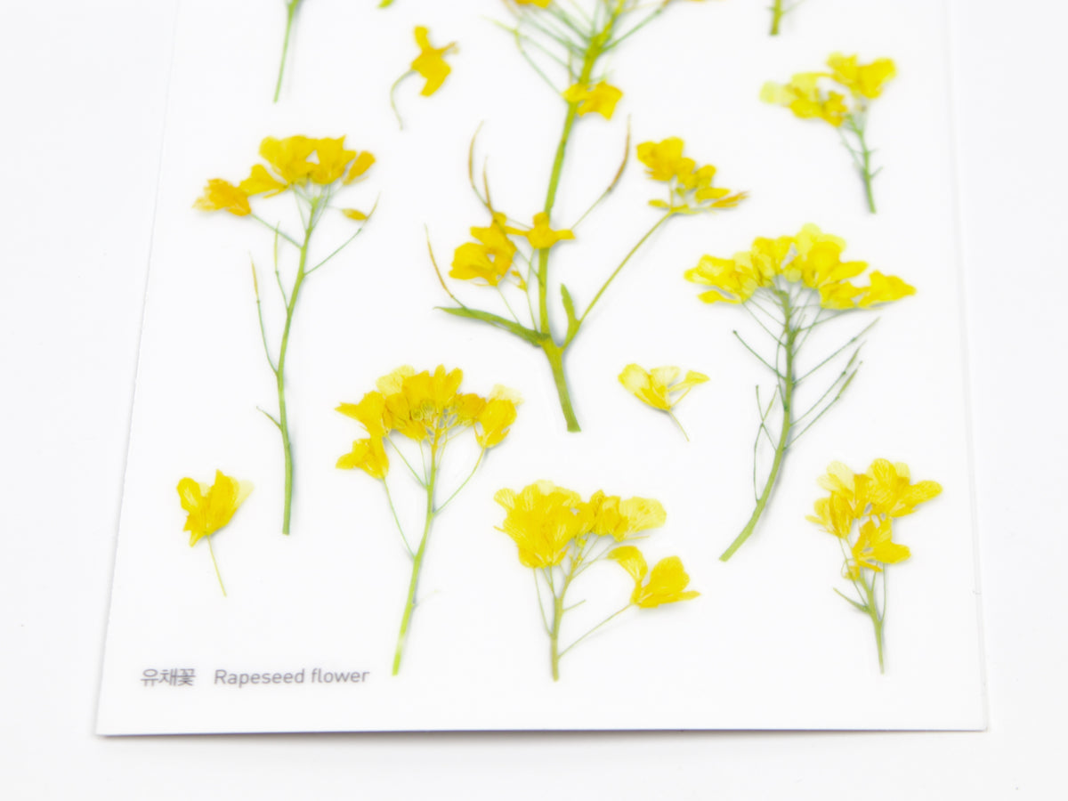 Appree Pressed Flower Stickers