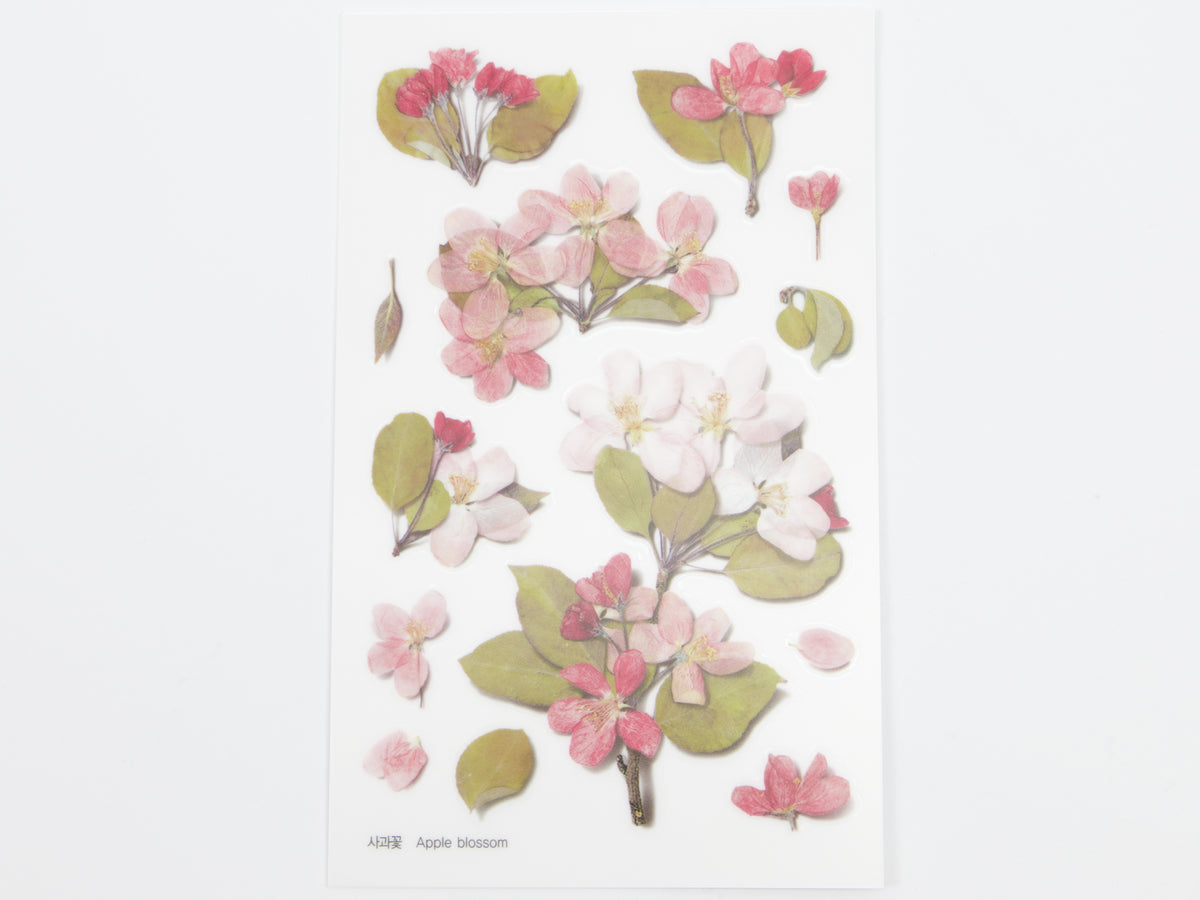 Appree Pressed Flower Stickers