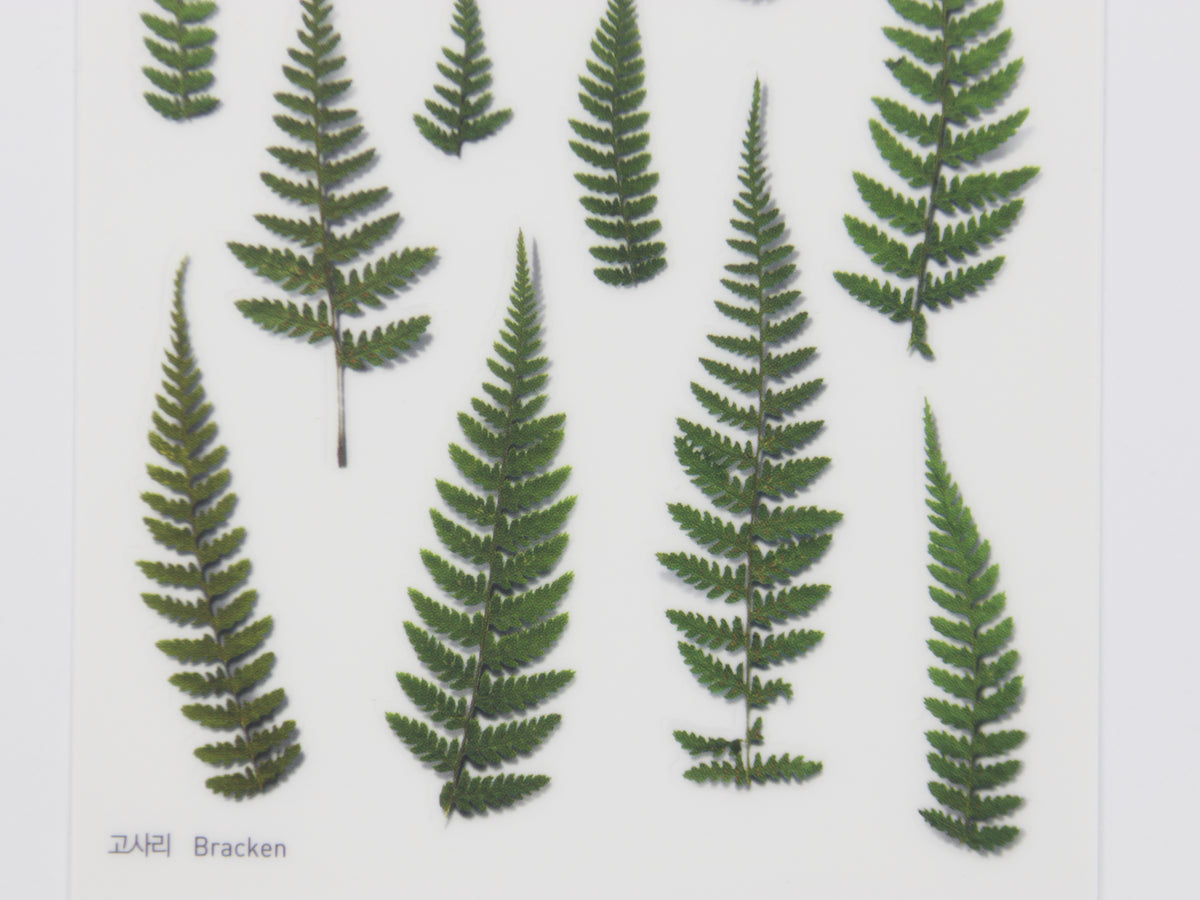 Appree Pressed Flower Stickers