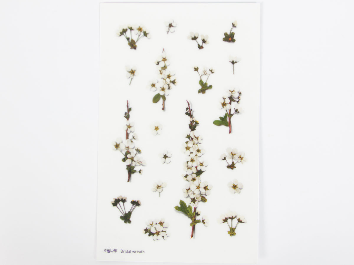 Appree Pressed Flower Stickers