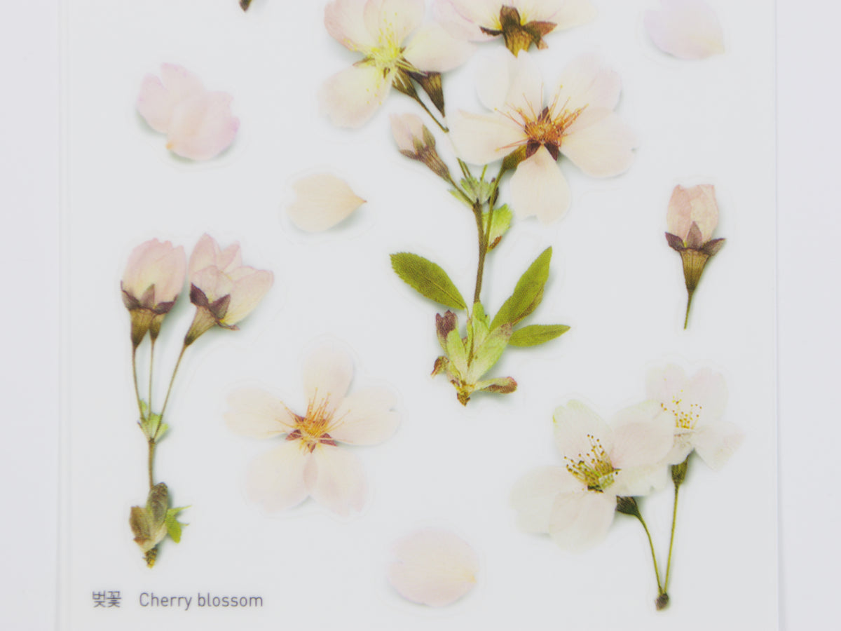 Appree Pressed Flower Stickers