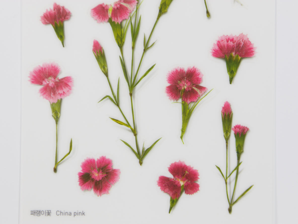Appree Pressed Flower Stickers