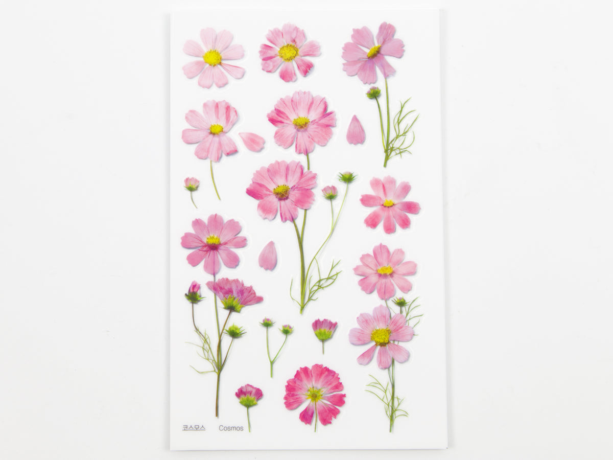 Appree Pressed Flower Stickers