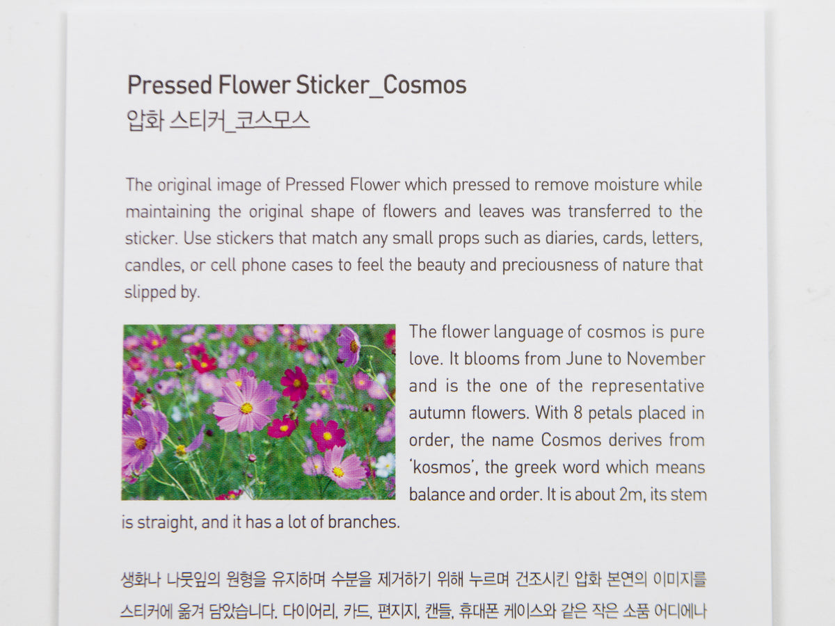 Appree Pressed Flower Stickers