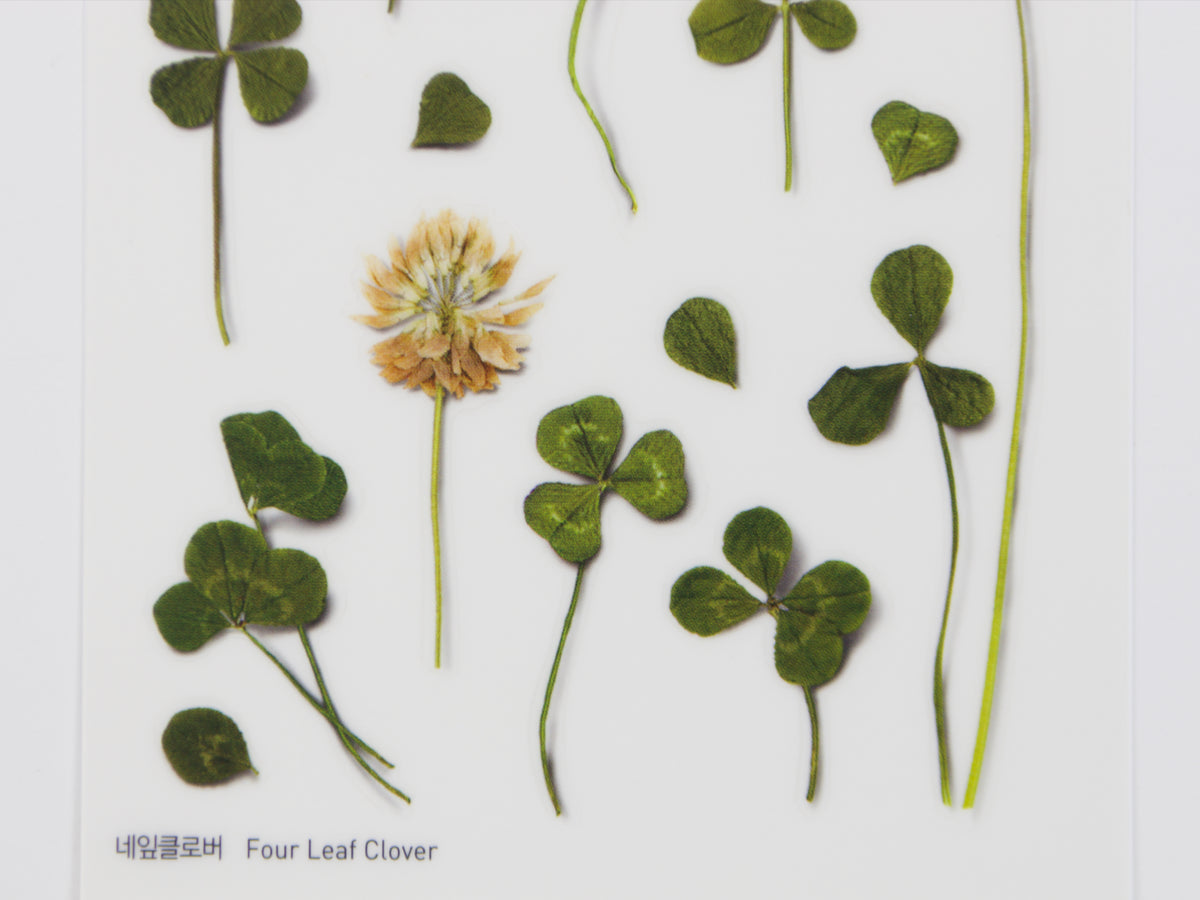 Appree Pressed Flower Stickers