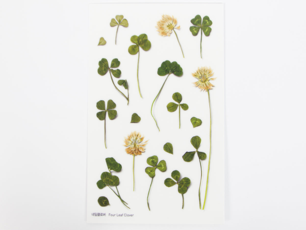 Appree Pressed Flower Stickers