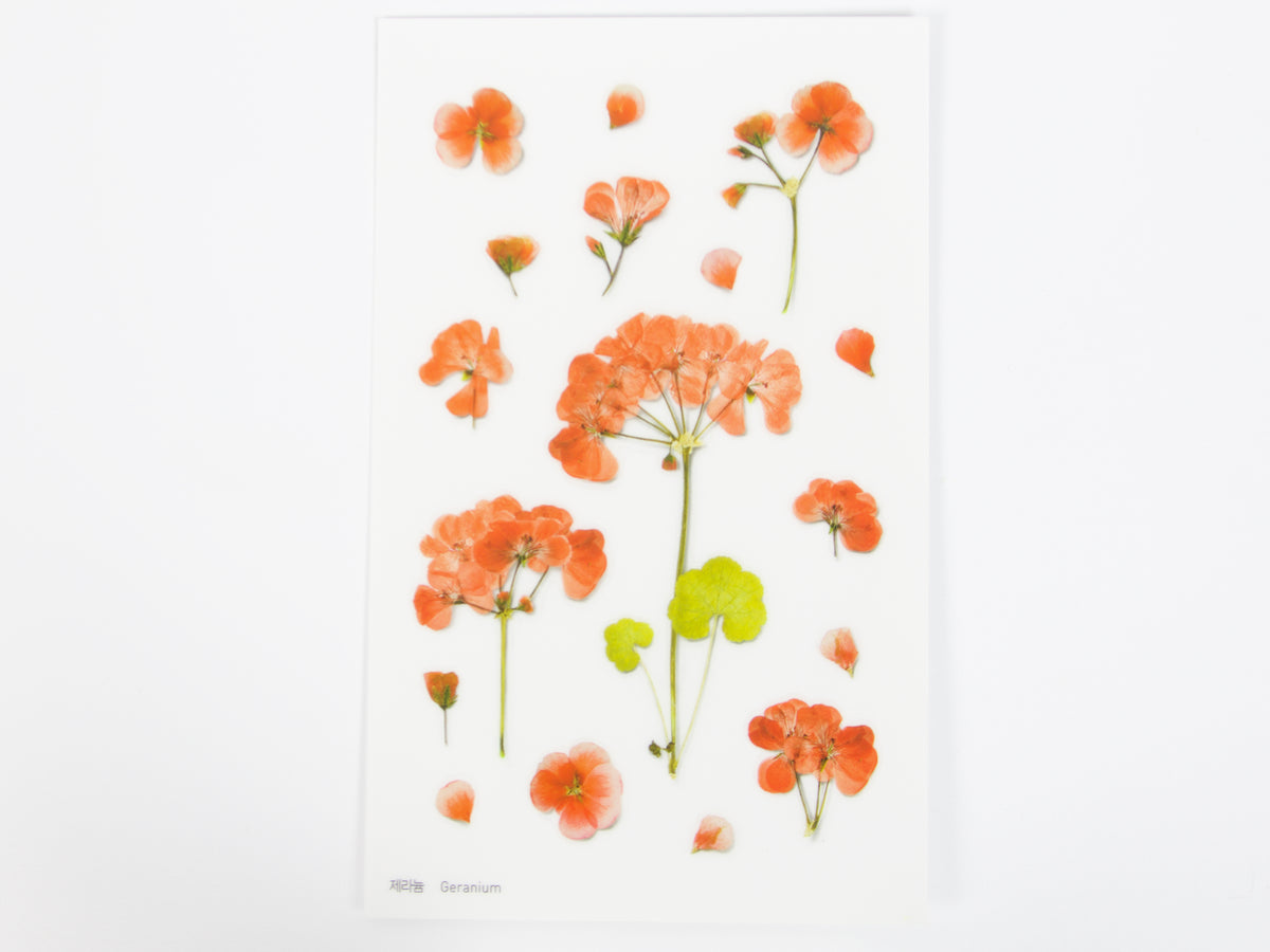 Appree Pressed Flower Stickers