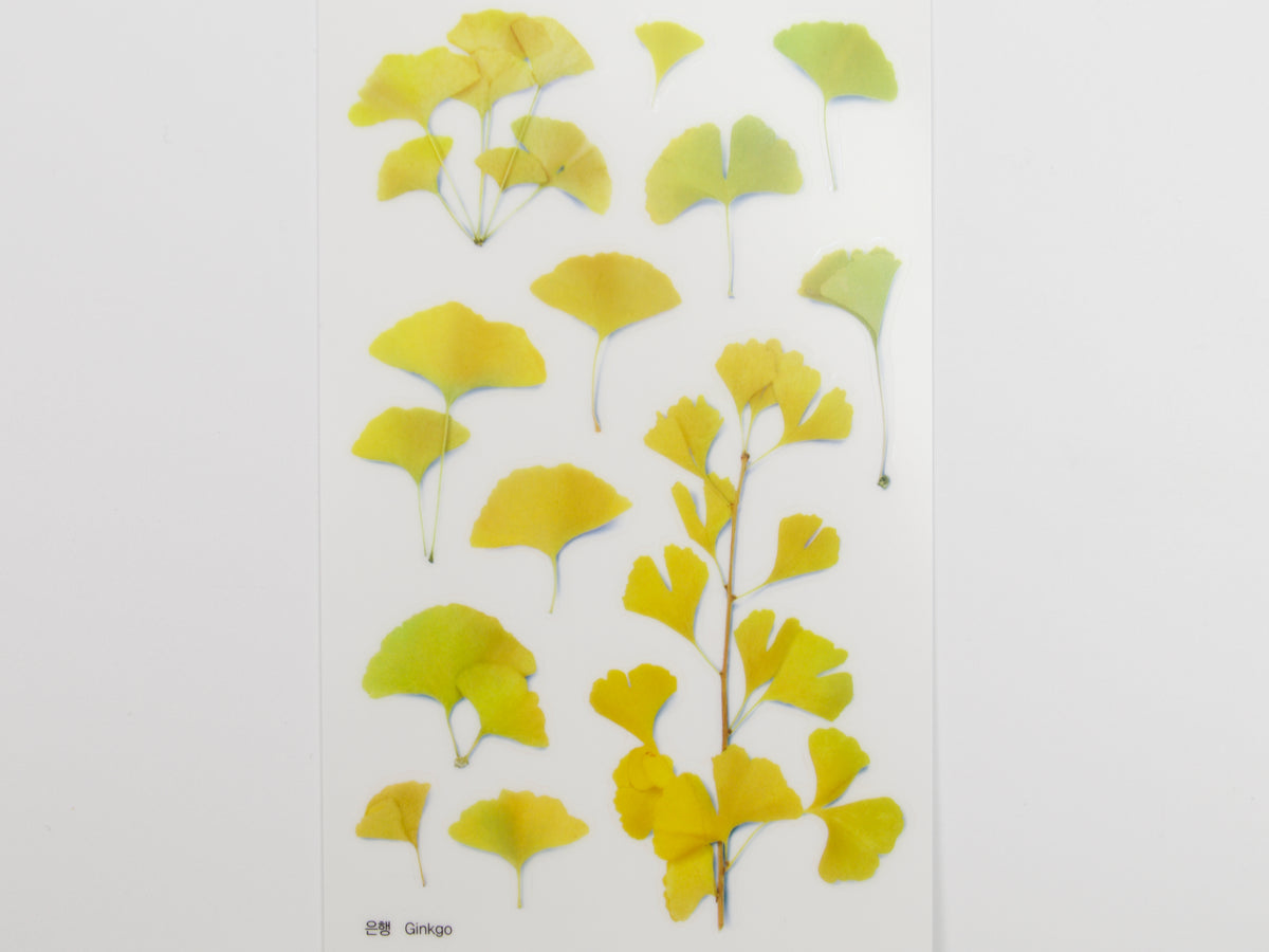 Appree Pressed Flower Stickers