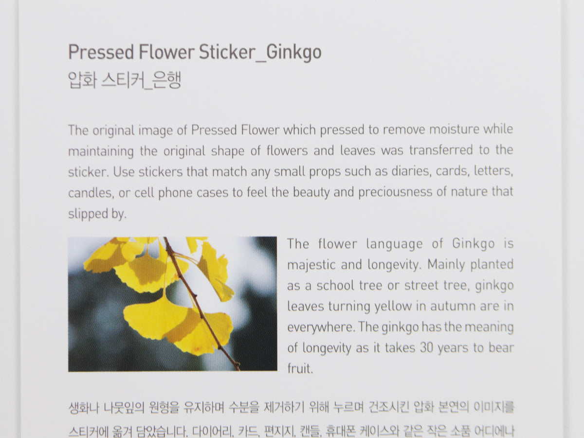 Appree Pressed Flower Stickers