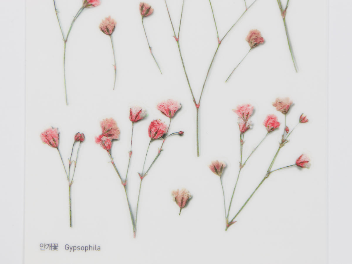 Appree Pressed Flower Stickers