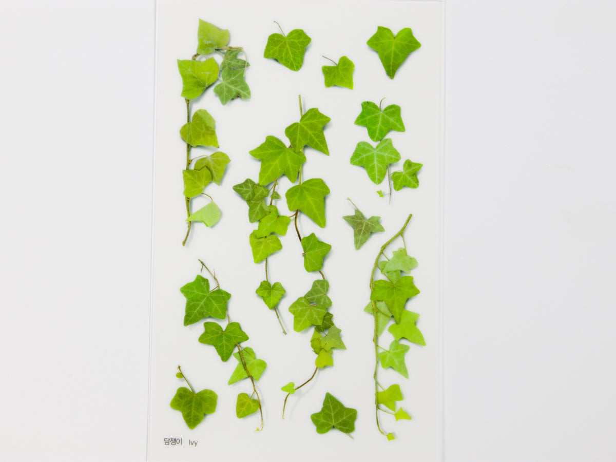 Appree Pressed Flower Stickers