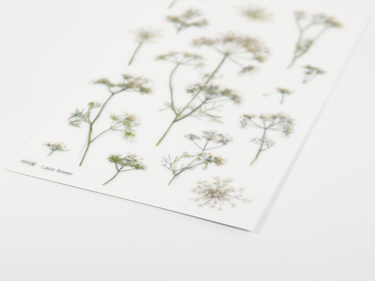 Appree Pressed Flower Stickers