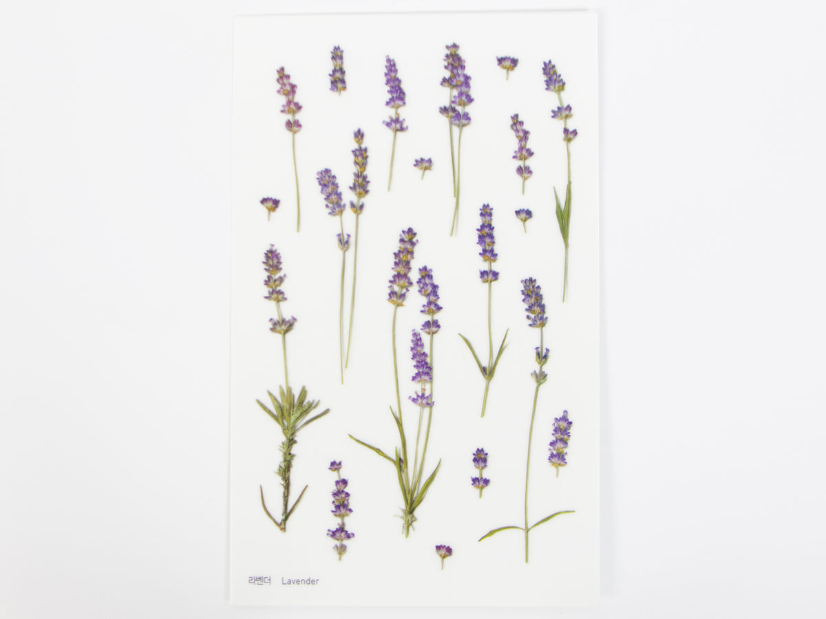 Appree Pressed Flower Stickers
