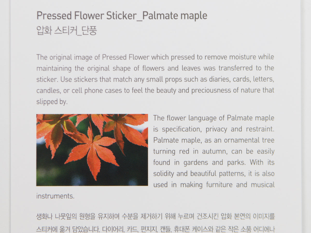 Appree Pressed Flower Stickers