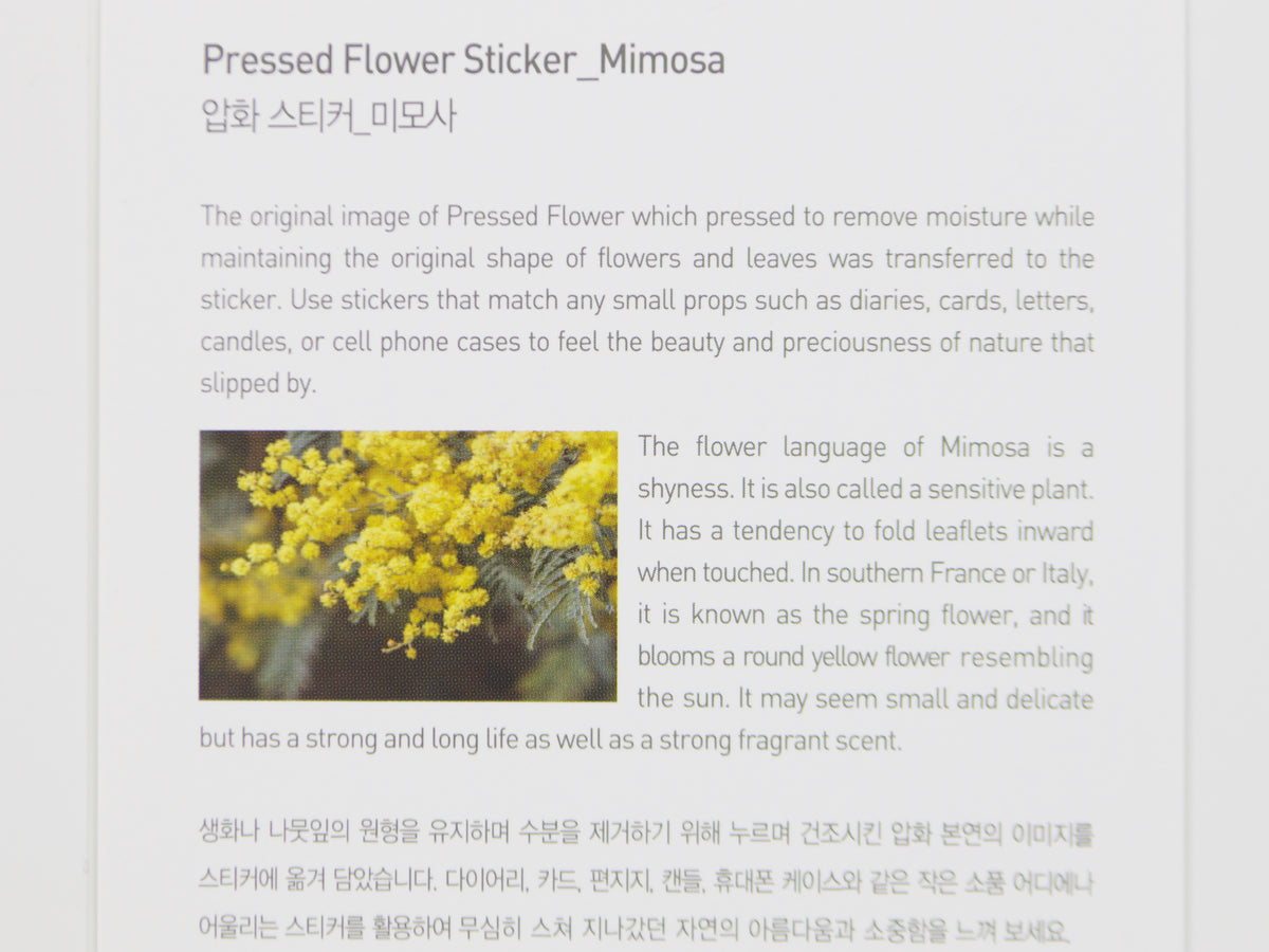 Appree Pressed Flower Stickers
