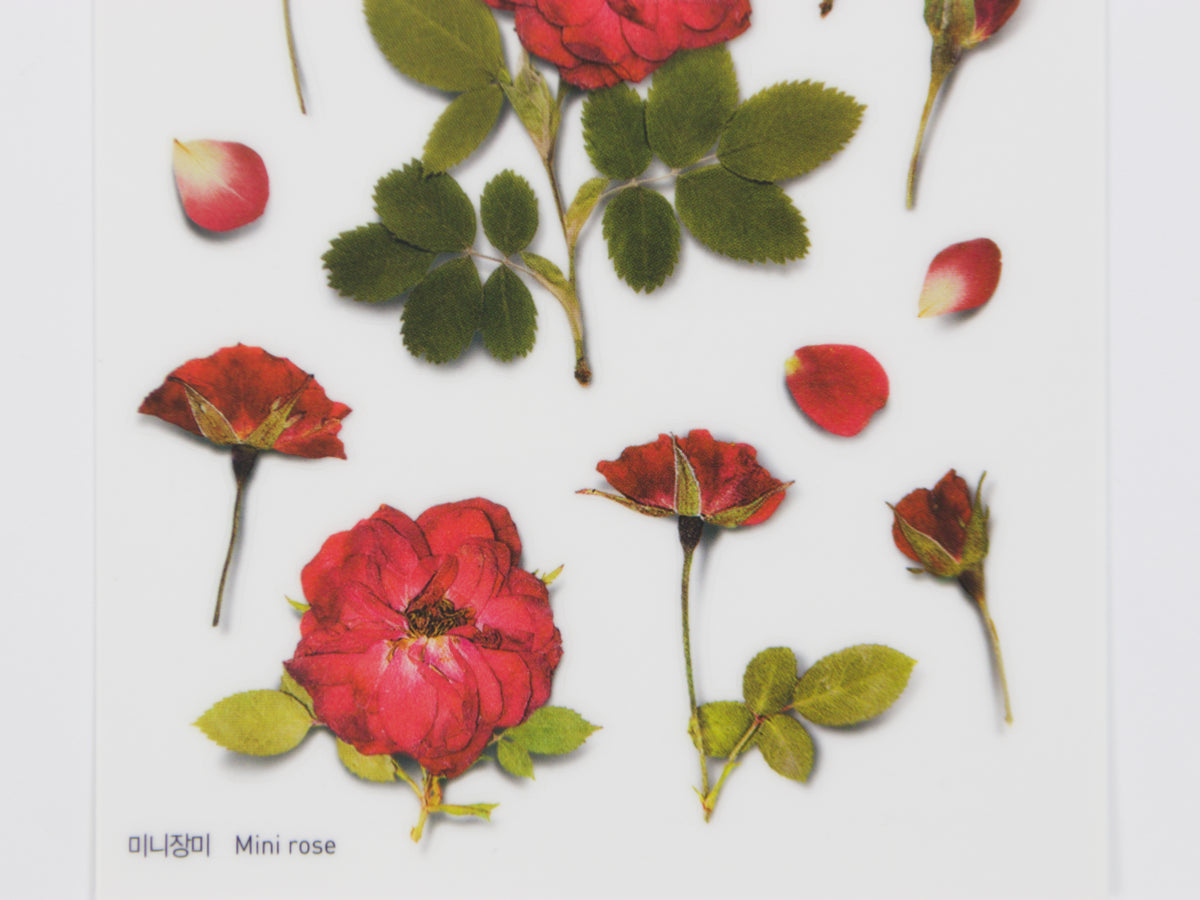 Appree Pressed Flower Stickers