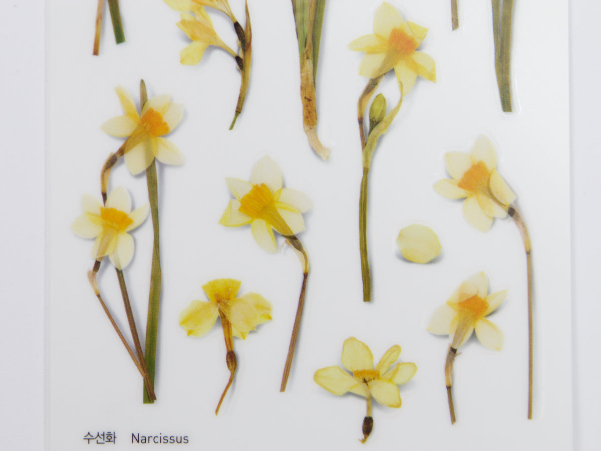 Appree Pressed Flower Stickers