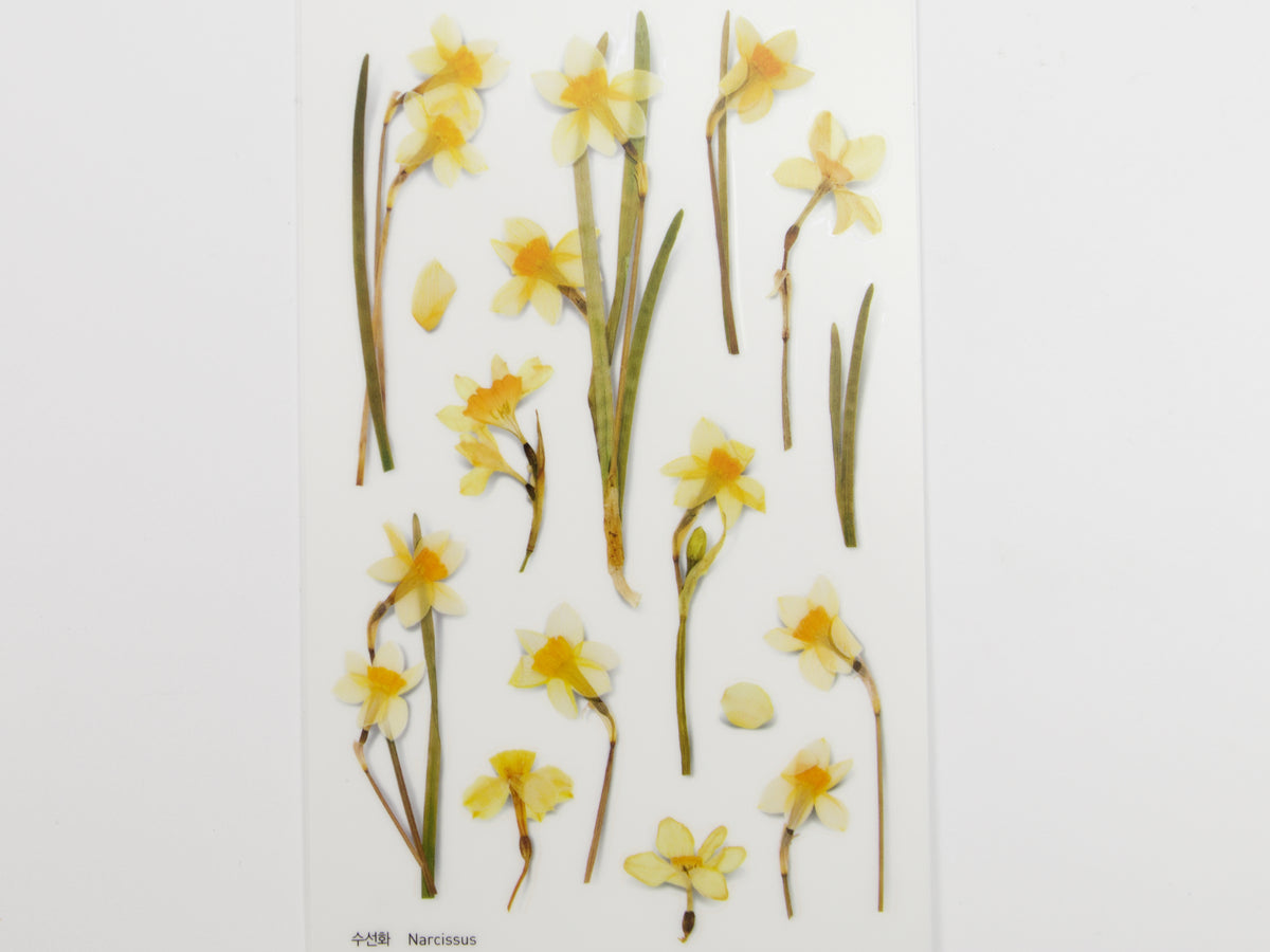 Appree Pressed Flower Stickers