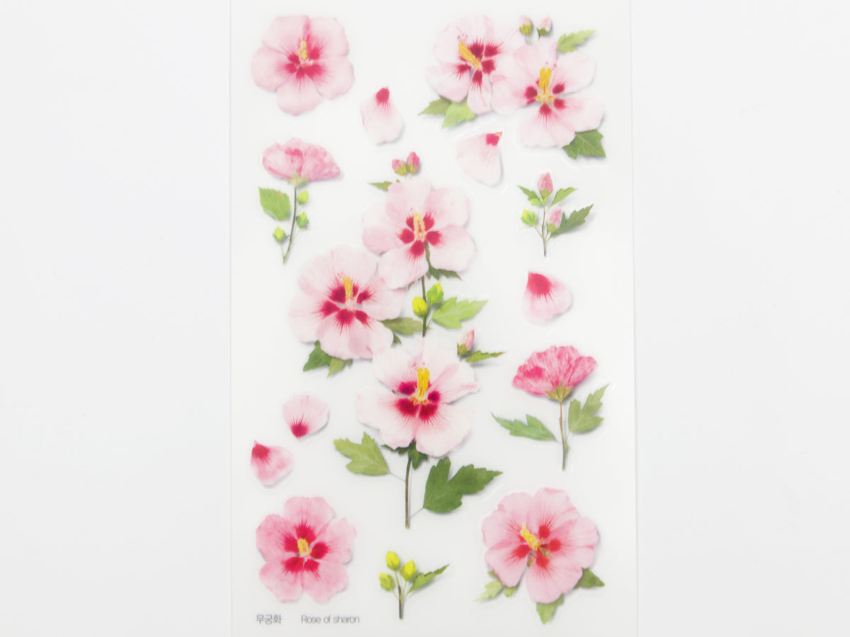 Appree Pressed Flower Stickers