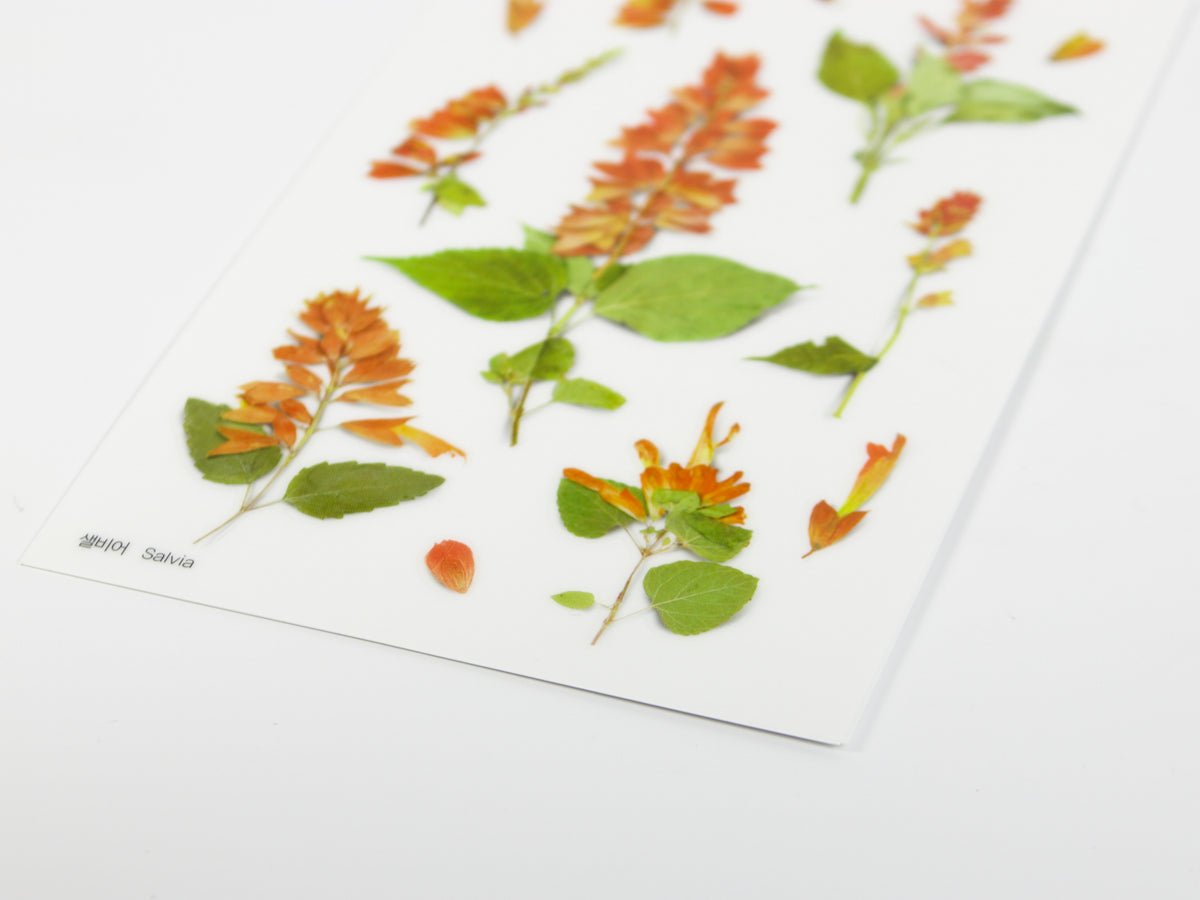Appree Pressed Flower Stickers