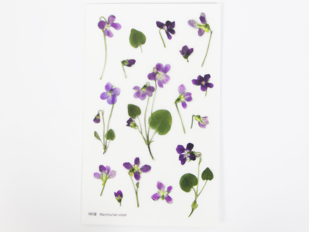 Appree Pressed Flower Stickers