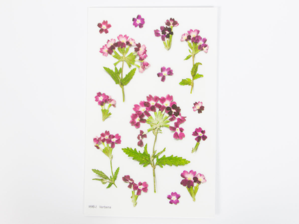 Appree Pressed Flower Stickers