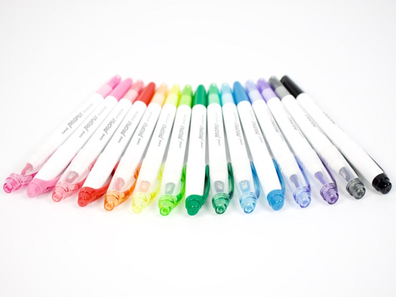 Propus Window Color Marker